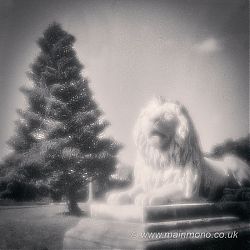 Lion and Tree, Sydney